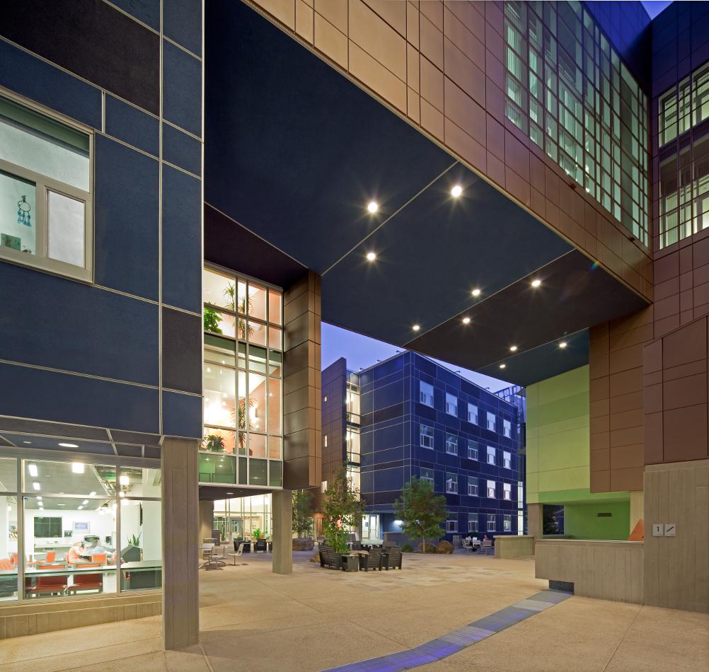 Arbol de la Vida, 2011