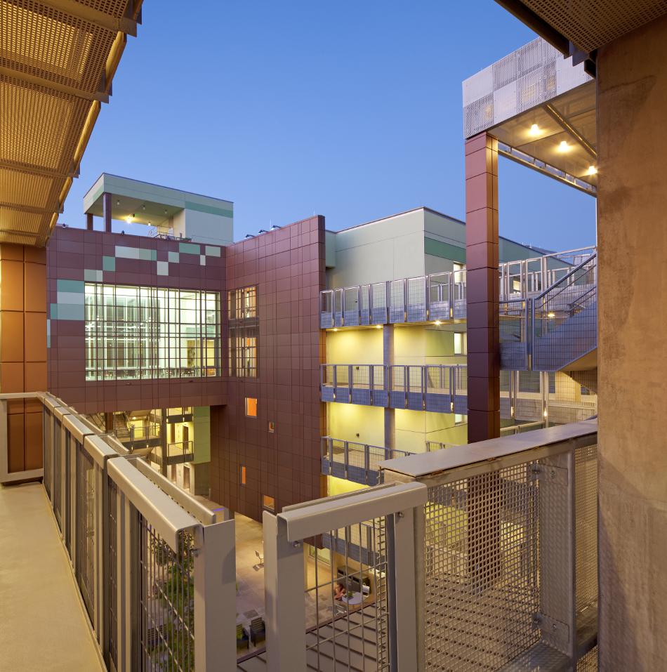 Arbol de la Vida, 2011