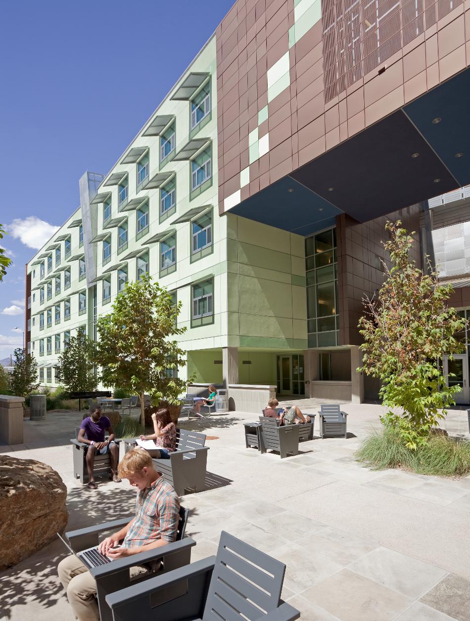 Arbol de la Vida, 2011